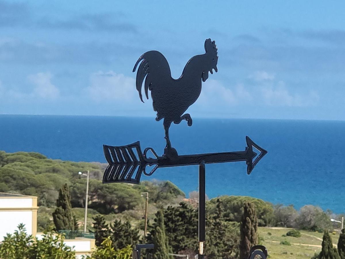 Villa Oceano Albufeira Bagian luar foto